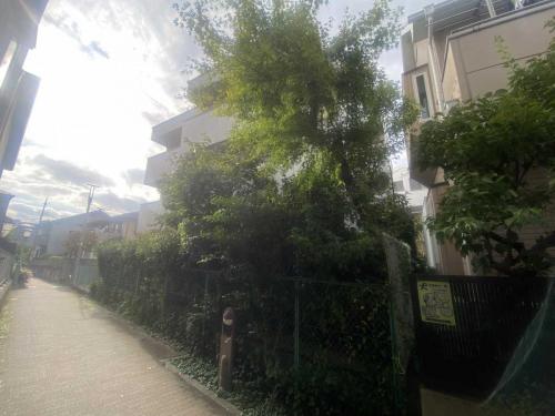 現地（古家あり）（撮影年月：2025年10月）