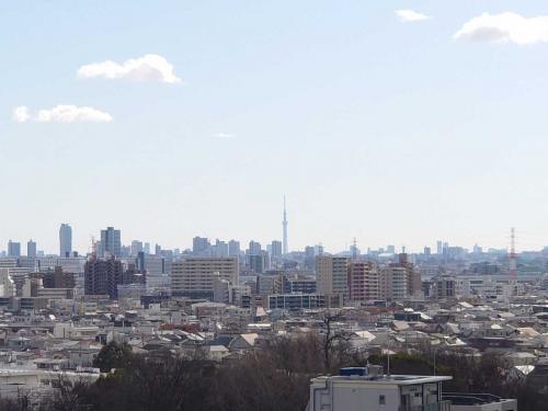 眺望：ズームあり（晴れた日にはスカイツリーが望めます）