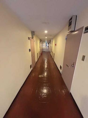 共用部：廊下（撮影年月：2025年11月）