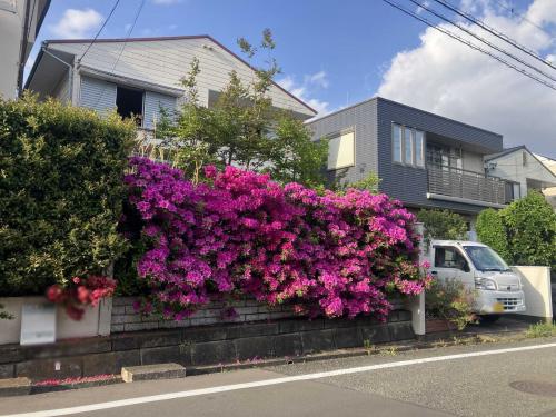 現地(古家あり)(撮影年月:2026年04月) 現地(古家あり)(撮影年月:2026年04月)