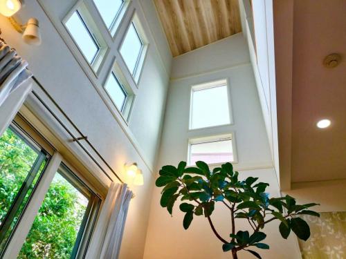 吹き抜け：ダイニング上、吹き抜け