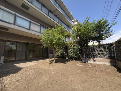 専用庭：南向きで陽当たりに恵まれます(撮影年月：2026年06月)