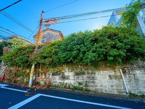 現地（古家あり）