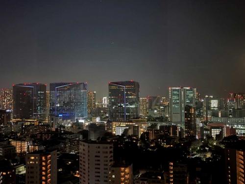 眺望：(夜景・レインボーブリッジを望む)・ズームあり