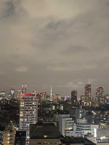 眺望：バルコニーから（ズームあり）・眺望は天候によります