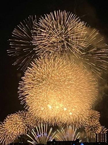 眺望：なにわ淀川花火大会(撮影年月：2025年10月)