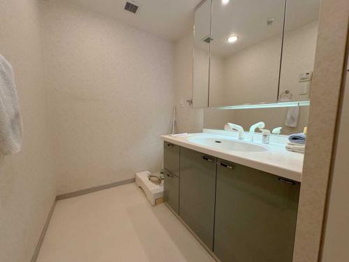 洗面室(撮影年月：2026年03月)