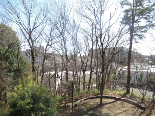 眺望：バルコニーから南側(撮影年月：2026年03月)