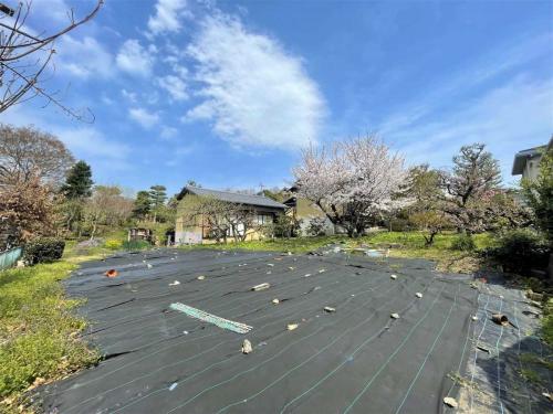 敷地内（撮影年月：2025年04月）