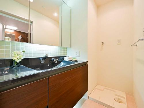 洗面所：三面鏡、シャワー付き（撮影年月：2025年11月）