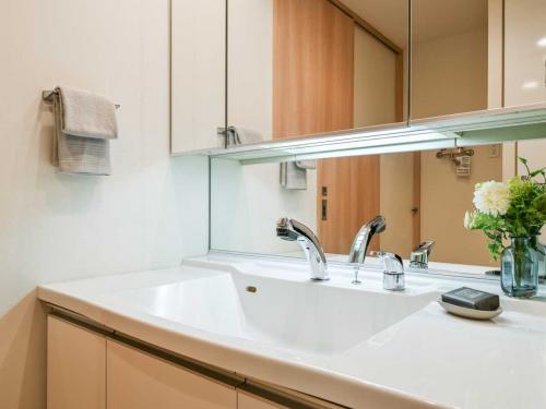 洗面所：洗面台（三面鏡、シャワー付き）（撮影年月：2025年11月）