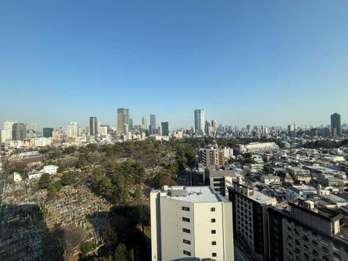 眺望：ズームなし