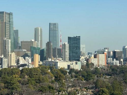 眺望：ズームあり