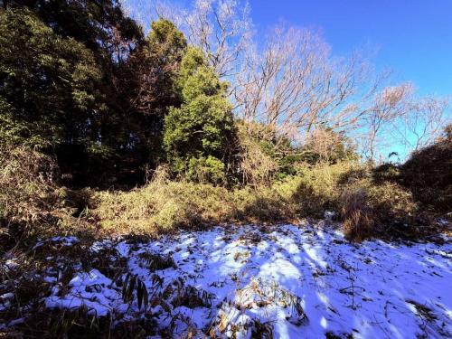 現地(撮影年月：2026年02月)