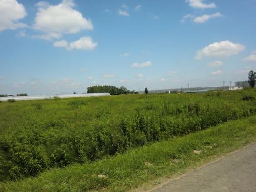 現地土地写真 現地土地写真