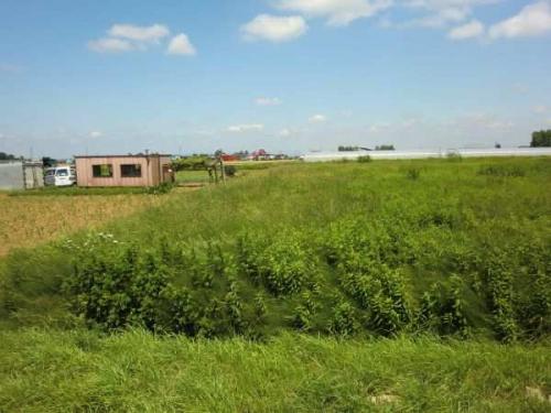 現地土地写真 現地土地写真