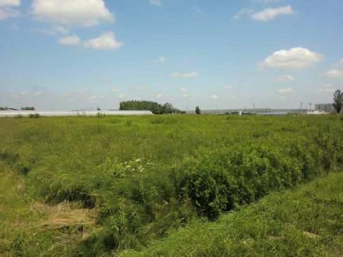 現地土地写真 現地土地写真