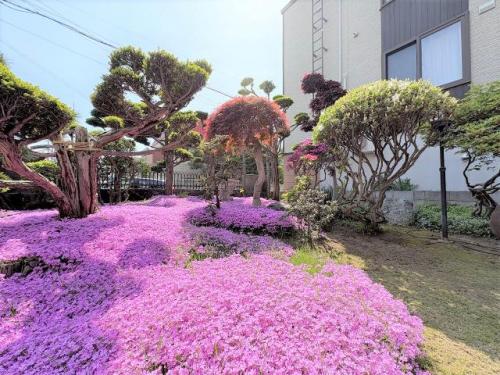 庭