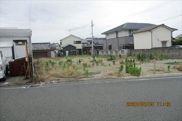 北東側より撮影