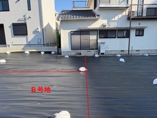 現地（B号地）