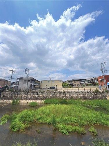 現地