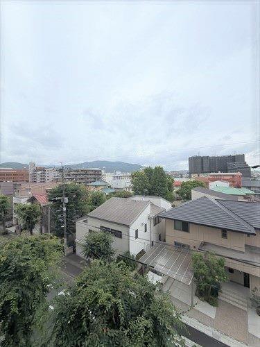 南東向きバルコニーからの眺望