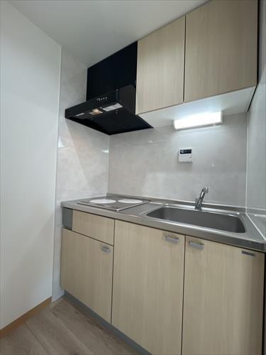 システムキッチンIHコンロ2台