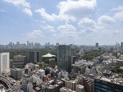 リビングからの眺望