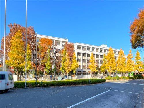 私立東京女学館小学校まで300m