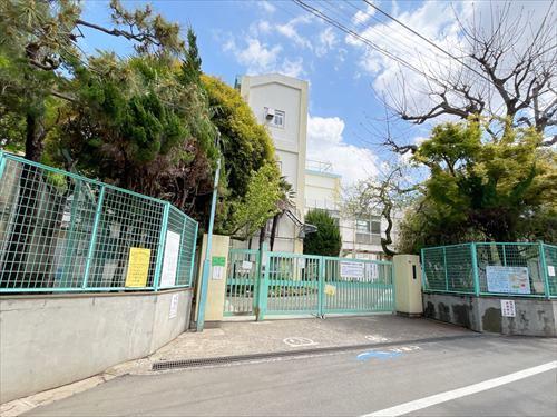 杉並区立西田小学校(430m)