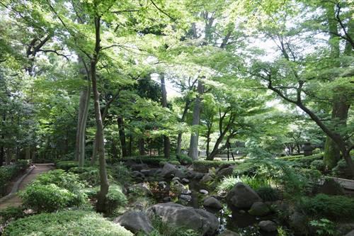 大田黒公園(710m)