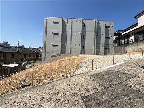 現地 (2026年3月撮影)-5