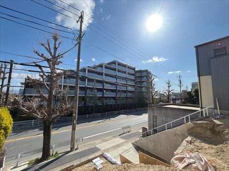 現地写真(2026年3月撮影)