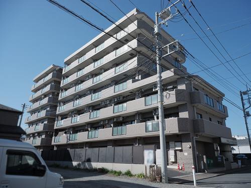 現地（2026年2月 撮影）