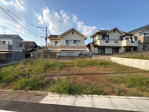 現地写真(2026年5月撮影)
