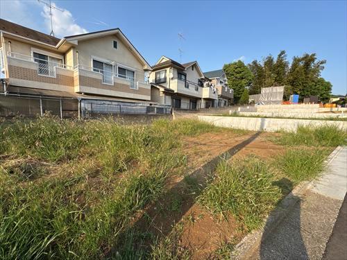 現地写真(2026年5月撮影)