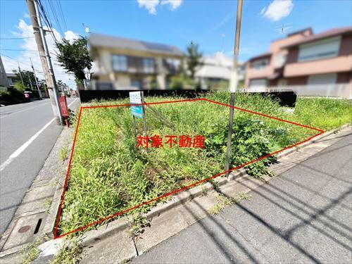 現地写真(2026年7月撮影)