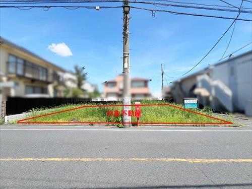 現地写真(2026年7月撮影)