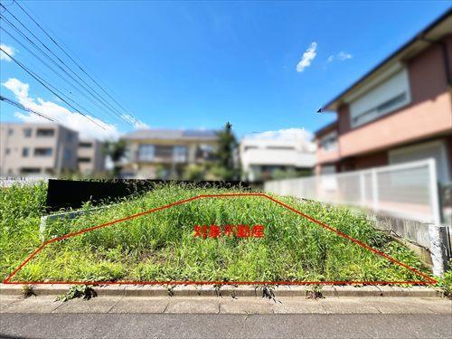 現地写真(2026年7月撮影)