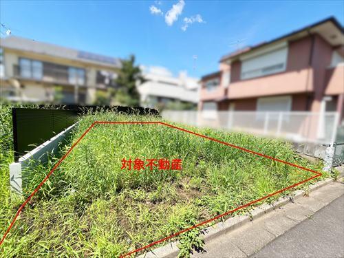 現地写真(2026年7月撮影)