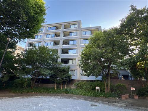 東側の公園から見た外観