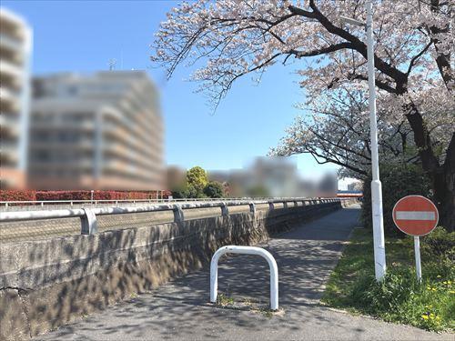 北側前面道路②(2026年4月撮影)
