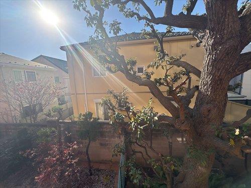 南東側バルコニーからの眺望