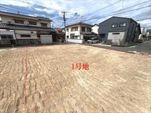 現地写真