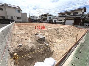 現地写真
