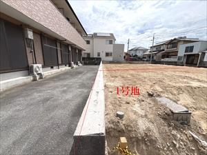 現地写真
