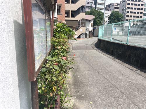 北東側前面道路（北側方向）