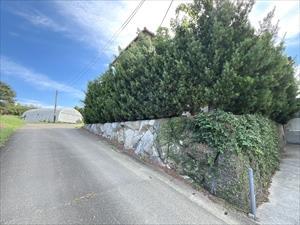 東側前面道路（南側方向）