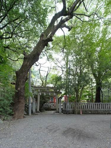 水稲荷神社 420m