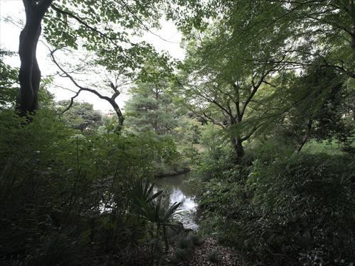 新宿区立甘泉園公園 210m